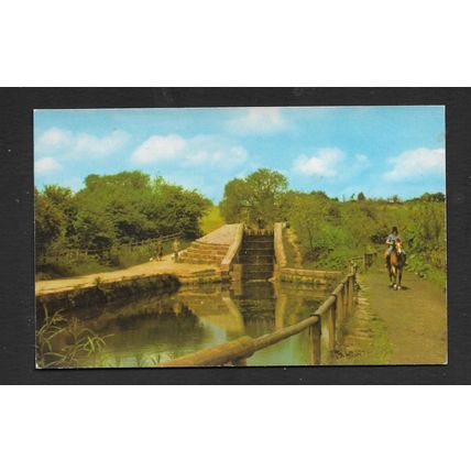 THE AQUADUCT DAISY NOOK COUNTY PARK MEDLOCK VALLEY POST CARD UNUSED