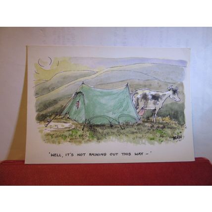 COW, RAINING, CAMPING humour.. used postcard by J.Arthur Dixon PHU 26604 =