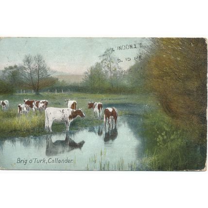 PC18192 Brig O Turk. Callander. Wildt and Kray series 1151. 1910