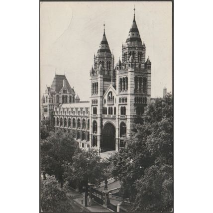 British Museum (Natural History), London, 1967 - RP Postcard