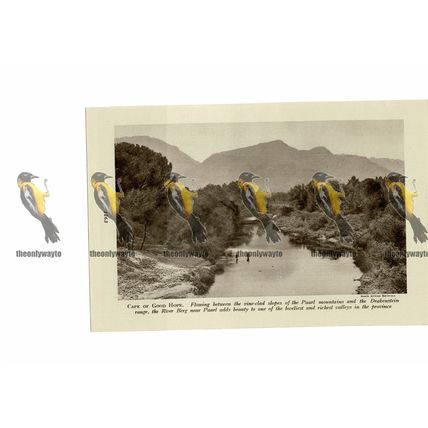 River Berg, Near Paarl, South Africa, Book Illustration, c1920