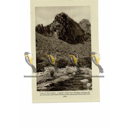 Cogman's Kloof, Near Montagu, South Africa, Book Illustration, c1920