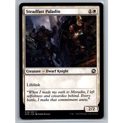 MTG Card Steadfast Paladin Dwarf Knight Adventures in the Forgotten Realm #38