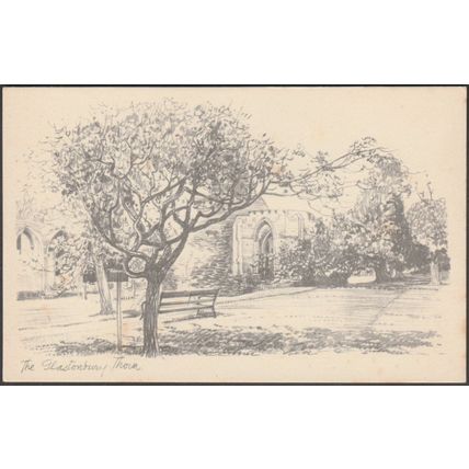 The Glastonbury Thorn, Somerset, c.1930s - Central Somerset Gazette Postcard