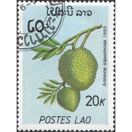 LAOS, FRUIT, Sweet sop, Annona squamosa, blue 1989, 20kip