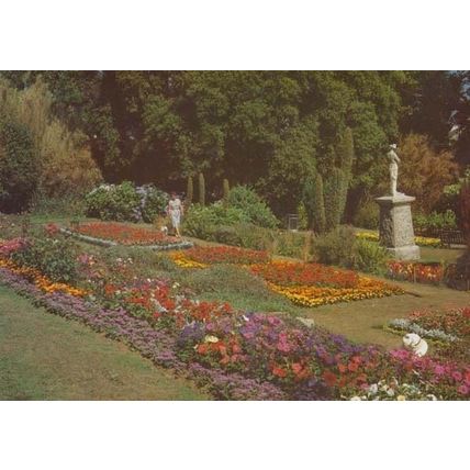 Falmouth Queen Mary Gardens Visitor & Dog Postcard