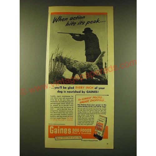 1950 Gaines Dog Food Ad - When action hits its peak