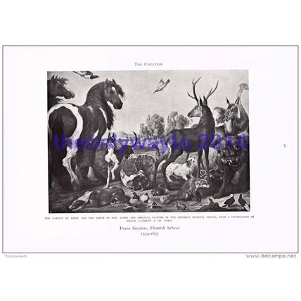 Garden of Eden, Frans Snyders, Book Illustration, 1905