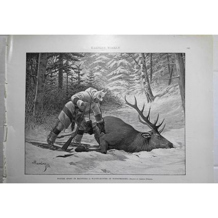 Winter Sport in Manitoba. A Wapiti-Hunter of Winnipegoosis. 1898 Harper's Weekly