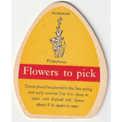 BEER MAT - FLOWERS BREWERY - GLADIOLUS PRIMULINUS - (Cat No 027) - (1961)