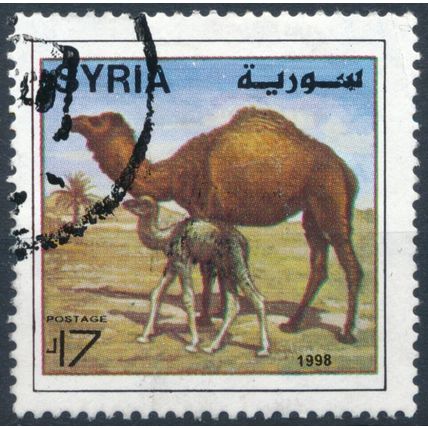 Camels - Syria 1998 - FH - MiNr 2024
