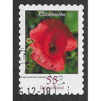 GER 2005 55c (S/A) 'FLOWERS DEFINITIVES-ROSE' FINE USED (EBID57-066b)