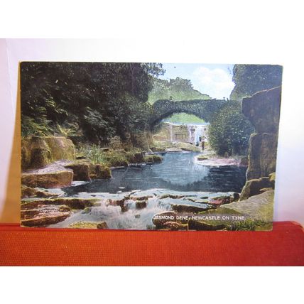 JESMOND DENE, , NEWCASTLE ON TYNE unused antique postcard =