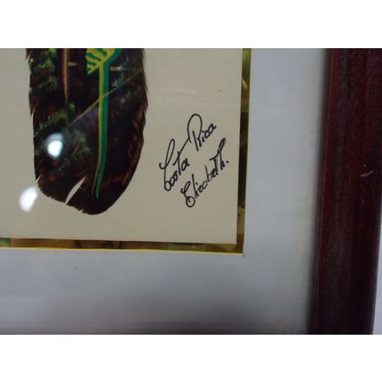 Unique Original Painting on a Feather Parrot By Elizabeth - Costa Rica