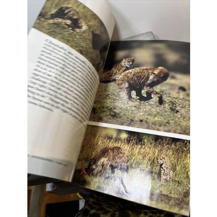 National Geographic Magazine June 2005 King Tut Collectible