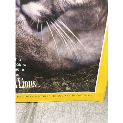 National Geographic Magazine July 1992 Mountain Lions - Vintage Collectable