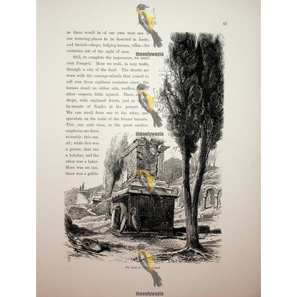 Street Of Tombs, Pompeii, Italy, Book Illustration (Print), c1875