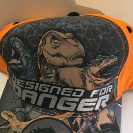 NEW Jurassic Park Designed for Danger Boy's Youth Adjustable Cap