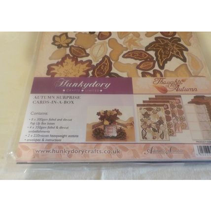 Hunkydory Cards in a Box Kit - Autumn Surprise - NEW