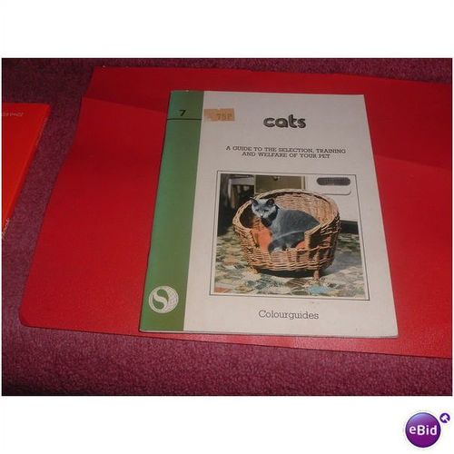 CATS (13/01)