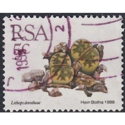 South Africa, 1988-93 5c Lithos Dorotheae, SG 656 (Scott #737), used