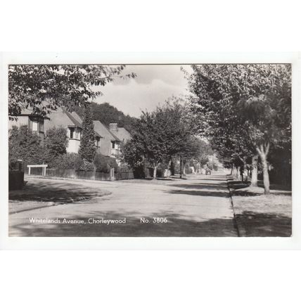 Whitelands Avenue Chorleywood Postcard RP Hertfordshire