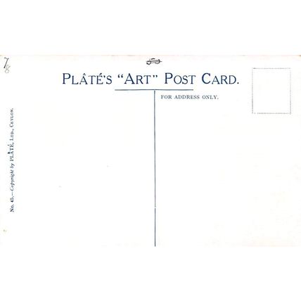 A Boutique or Betel & Fruit Shop, Ceylon : Plate colour printed postcard no 45