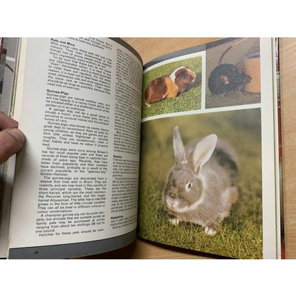 1970 "DAILY MIRROR BOOK OF PETS" ILLUSTRATED ANNUAL HARDBACK BOOK (P3) AB