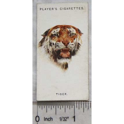 1927 John Player & Sons Wild Animals Heads No. 46 The Tiger
