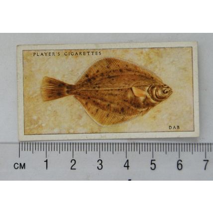 1935 Players Sea Fishes No. 45 Dab