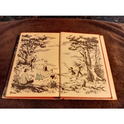 The Happy Hollister's And The Sea Turtle Mystery By Jerry West W/Dustjacket 1964