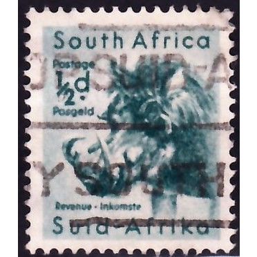 South Africa, 1954 1/2d Wart Hog, SG 151 (Scott #200), used