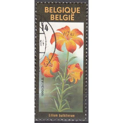 Belgique 1984 Michel 2411 O Cote (2008) 0.30 € Fleur Lilium bilbuferum