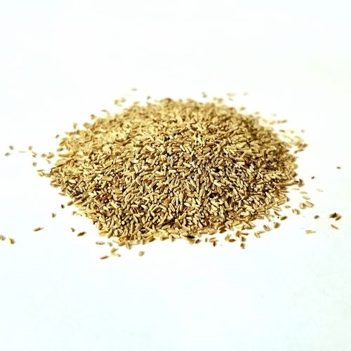 0.250g German Chamomile Seeds Italian camomilla Hungarian camomile