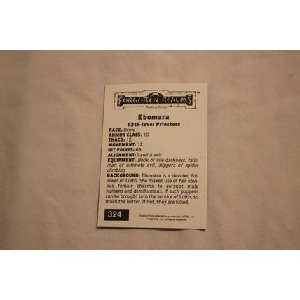 Edomara 1992 TSR 2nd Edition Dungeons & Dragons NO.324