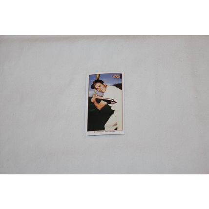 Brooks Robinson 2002 Topps 206 POLAR BEAR MINI NO. 296