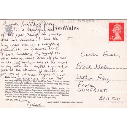 Llyn Tegid Lake Bala Postcard posted crease