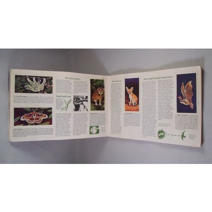 Brooke Bond Tea Card Album: 1976 Wonders of Wildlife, With All Cards