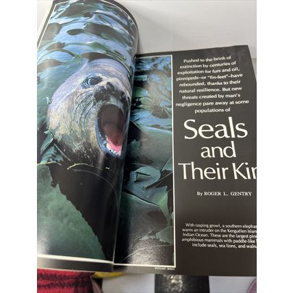 National Geographic Magazine April 1987 Seals & Their Kin Vintage Collectable g