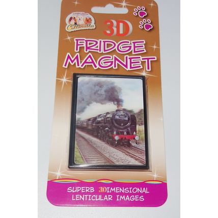STEAM TRAIN fridge magnets 3D or Antique brass effect 8 choices