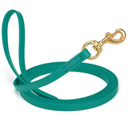 Dog Pet Leash Blue Aqua w/ Brass Hardware W 5/8" - L10'