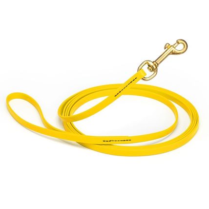 Dog Pet Leash Lemon Yellow w/ Brass Hardware W 3/8" - L10'