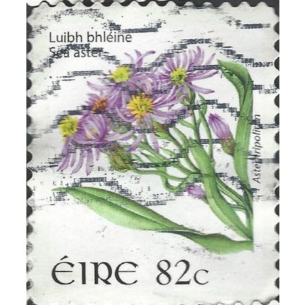 EIRE, FLOWER, Sea Aster, Aster triploium adhesive, white 2008, 82c, #3
