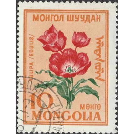 MONGOLIA, FLOWER, Amana edulis, orange 1960, 10mongo