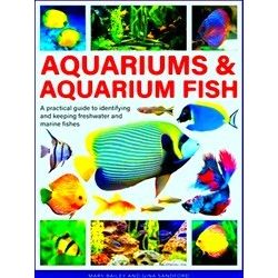 Aquariums Aquarium Fish