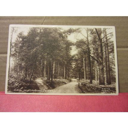 ASHDOWN FOREST, SUSSEX unused vintage postcard by F. Frith /