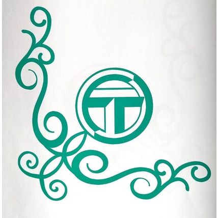 Talbot Express Camper Motorhome Decal Sticker Graphics Many Colors Available
