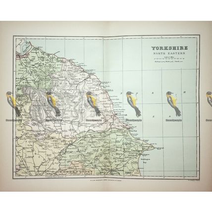 Yorkshire (North Eastern), England, Map, Book Illustration (Print), 1895