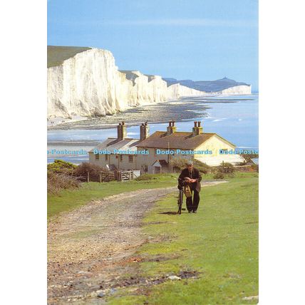 D026453 The Seven Sisters. Seaford. Janon