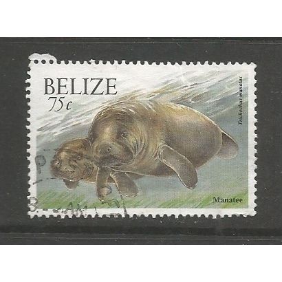Belize 2000 Wildlife 75c Manatee, used. SG1261A
